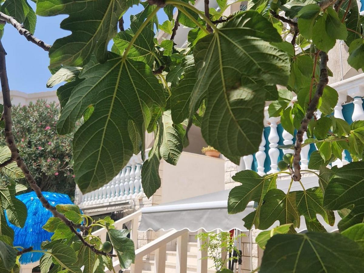 Apartments Rora Rogoznica  Εξωτερικό φωτογραφία