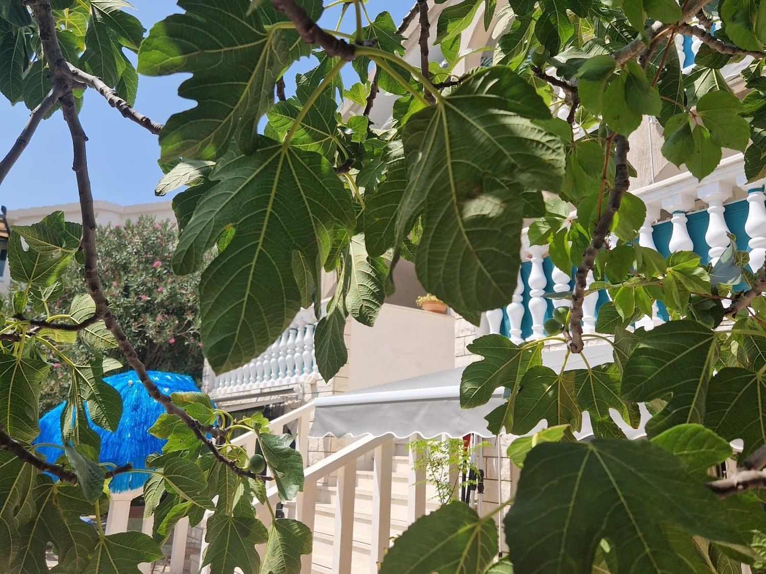 Apartments Rora Rogoznica  Εξωτερικό φωτογραφία